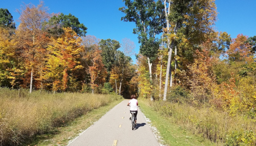 A person rides a bicycle on a path surrounded by vibrant autumn trees and clear blue skies.