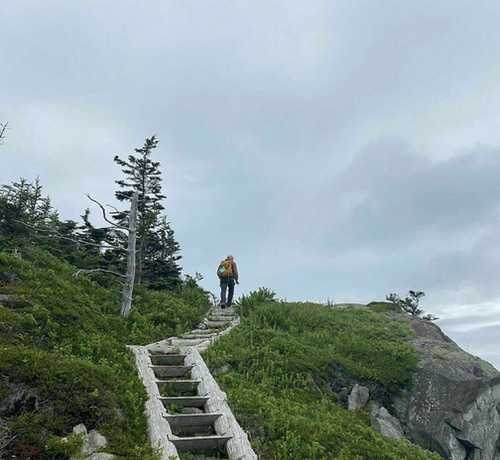 A person hiking up a wooden staircase surrounded by lush greenery and rocky terrain under a cloudy sky.