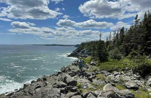 A person stands on rocky terrain by the ocean, surrounded by trees and under a blue sky with fluffy clouds.