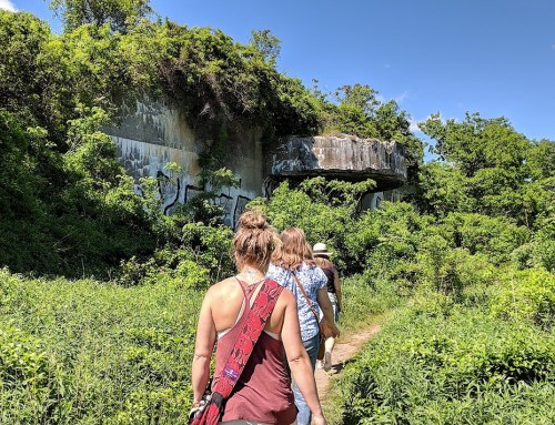 A group of people walking on a path through lush greenery towards a large, graffiti-covered structure.