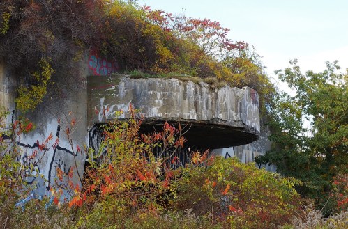Abandoned concrete structure covered in vines and graffiti, surrounded by colorful autumn foliage.