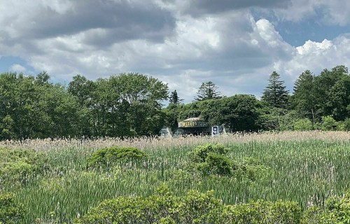 A lush green field with tall grasses and trees under a cloudy sky, featuring a distant sign partially obscured by foliage.
