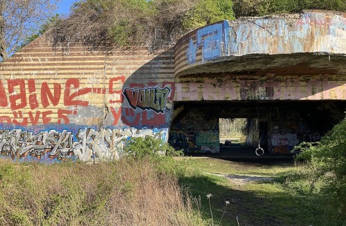 Abandoned structure covered in colorful graffiti, surrounded by overgrown vegetation and a swing hanging from the entrance.