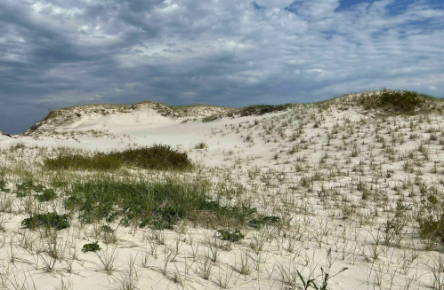 A sandy landscape with grassy patches and rolling dunes under a cloudy sky.