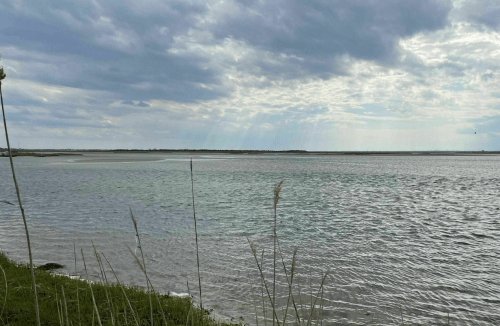 A serene view of a calm body of water under a cloudy sky, with tall grass in the foreground.