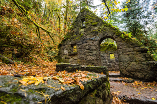 Ruins of a stone structure covered in moss, surrounded by autumn foliage in a forest setting.