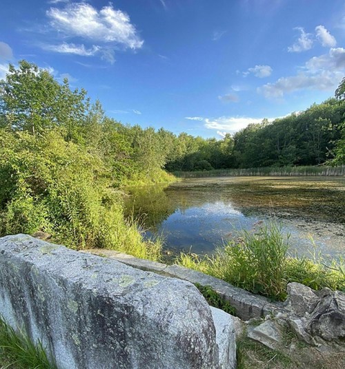 A serene landscape featuring a calm pond surrounded by lush greenery and trees under a partly cloudy sky.