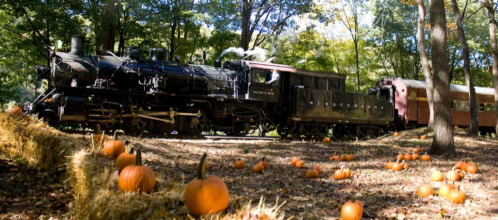 A vintage steam train passing through a forested area with pumpkins scattered on the ground and hay bales nearby.