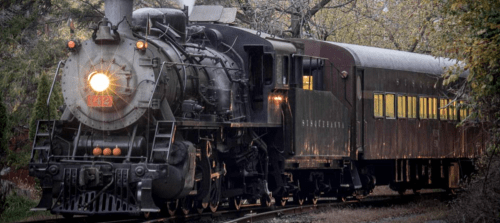 A vintage steam locomotive with a passenger car, surrounded by trees in a scenic setting.