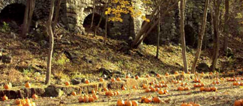 A rustic scene with scattered pumpkins in front of stone arches, surrounded by trees and autumn foliage.