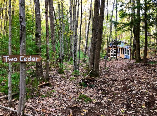 A wooden sign reading "Two Cedar" points towards a cabin nestled among trees in a forested area.