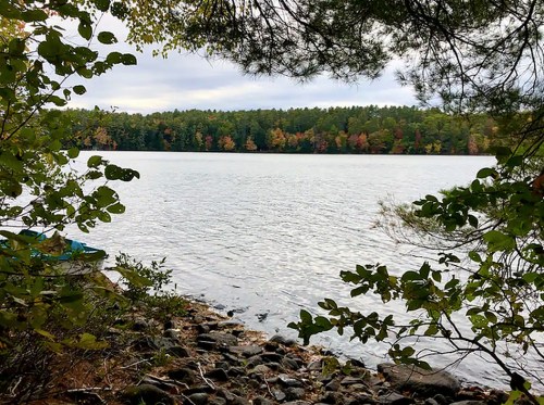 A serene lake view framed by trees, with colorful autumn foliage in the background and rocky shoreline in the foreground.