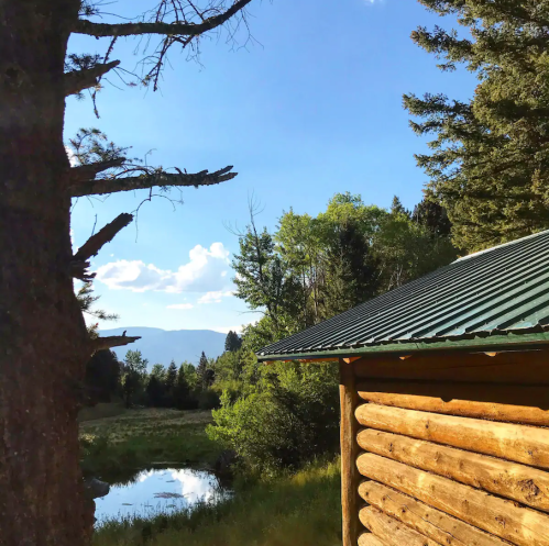 A rustic log cabin with a green roof, surrounded by trees and a serene pond under a clear blue sky.