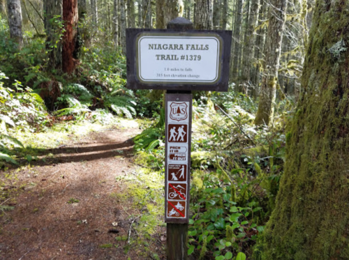 Sign for Niagara Falls Trail #1379, indicating 1.8 miles to falls and 385 feet elevation change, surrounded by forest.