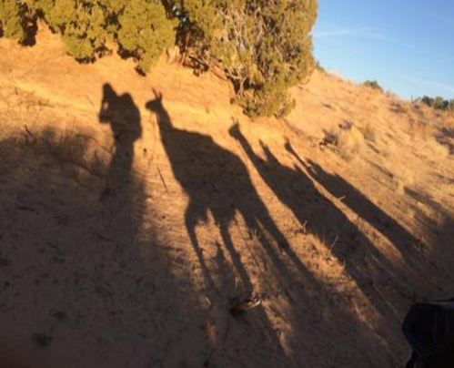 Shadows of a person and several giraffes cast on a sandy landscape with sparse vegetation.