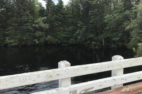 A wooden railing overlooks a dark, still body of water surrounded by dense green trees.