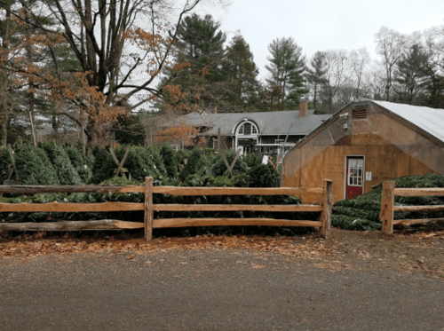 A rustic wooden fence in front of a Christmas tree farm with a greenhouse and a house in the background.