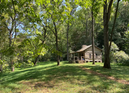 A rustic log cabin surrounded by lush green trees and grass in a serene natural setting.