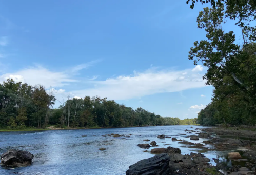 A serene river scene with clear blue skies, lush trees lining the banks, and rocks scattered along the water's edge.
