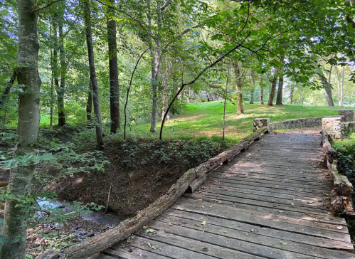 A wooden bridge leads through a lush, green forest with trees and a grassy area in the background.