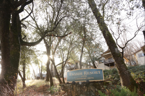 Sign for Tsasdi Resort on Lakeshore Drive, surrounded by trees and sunlight filtering through the branches.