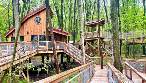 A wooden cabin and observation tower connected by a walkway, surrounded by lush green trees in a forest.
