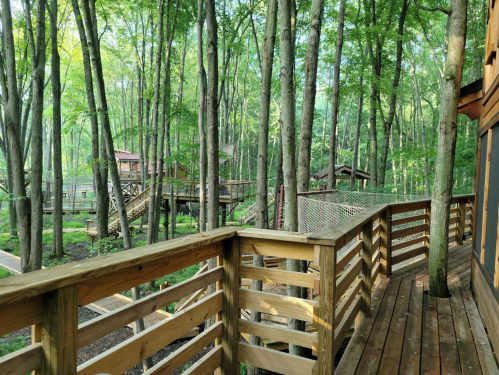 Wooden walkway through a lush green forest, leading to treehouses and surrounded by tall trees.