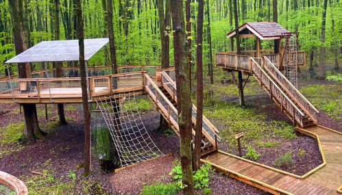 Wooden treehouse structures with ramps and nets, surrounded by lush green trees in a forested area.