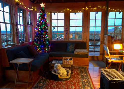 Cozy room with a Christmas tree, a dog in a bed, and large windows showing a scenic view, decorated with lights.