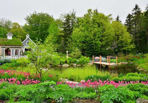 A vibrant garden with pink flowers, lush greenery, a pond, and a charming house in the background.