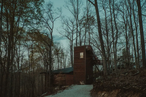 A modern wooden cabin surrounded by bare trees on a gravel path, set in a tranquil forest landscape.
