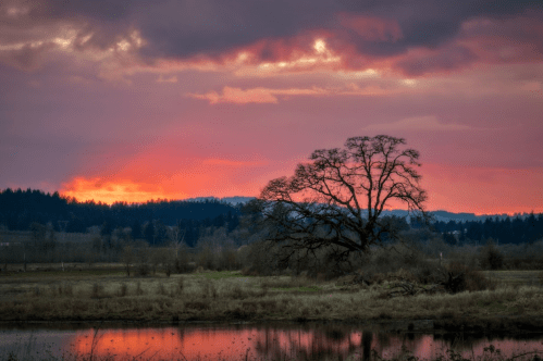 A serene landscape at sunset, featuring a silhouetted tree, calm water, and colorful clouds in the sky.