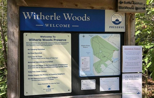 Sign for Witherle Woods Preserve, detailing rules and a map of the area, surrounded by trees and nature.