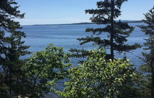 A serene view of a calm lake surrounded by trees under a clear blue sky.