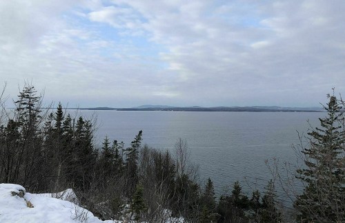 A serene winter landscape featuring a calm sea, distant hills, and snow-covered trees under a cloudy sky.