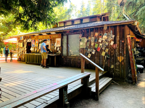 A rustic wooden building surrounded by trees, featuring art displays and a person browsing outside.