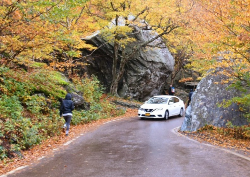A white car drives along a winding road surrounded by autumn foliage and large rocks.