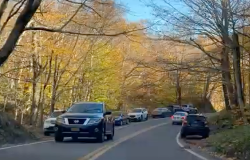 A winding road lined with trees in autumn colors, featuring several parked and moving vehicles.