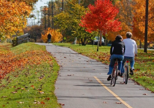 Two people ride bicycles on a scenic path lined with colorful autumn trees and fallen leaves.