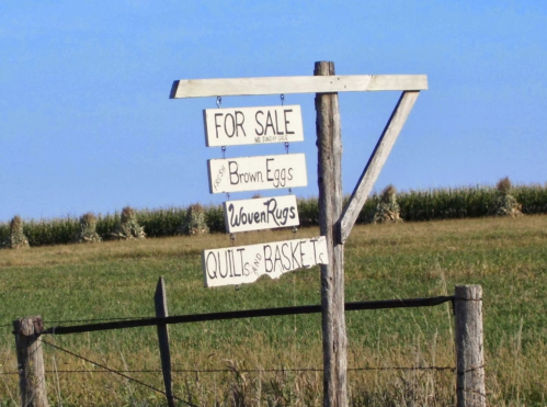 A wooden signpost displaying "For Sale" with listings for brown eggs, woven rugs, and quilts, set against a rural backdrop.