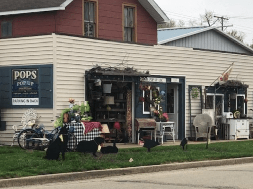 A quaint shop with outdoor decor, featuring plants and furniture, surrounded by black birds on the ground.
