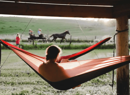 A person relaxes in a hammock, watching a horse-drawn carriage ride by in a scenic countryside setting.