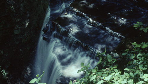 A serene waterfall cascading over rocks, surrounded by lush green foliage and dappled sunlight.