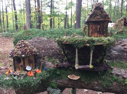 Whimsical miniature houses made of natural materials, nestled on a moss-covered log in a forest setting.