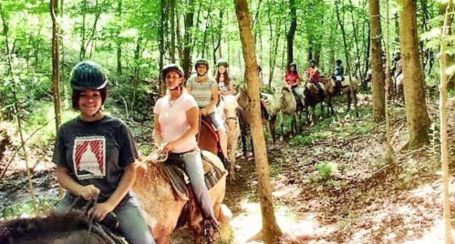 A group of people riding horses along a wooded trail, surrounded by trees and greenery.