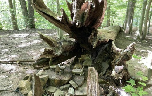 A whimsical miniature village made of stones and wood, nestled at the base of a large fallen tree in a forest.
