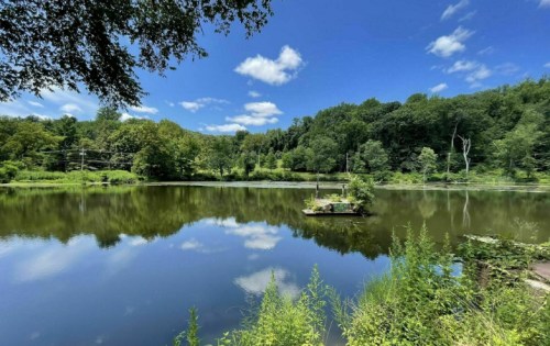 A serene pond surrounded by lush greenery and trees, reflecting a clear blue sky with fluffy clouds.