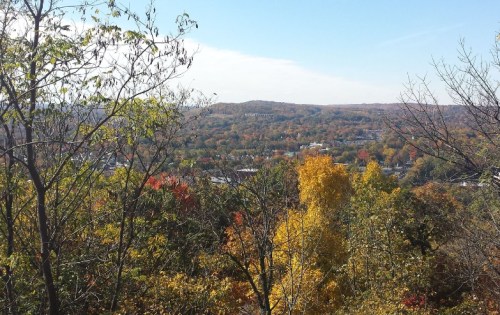A scenic view of a colorful autumn landscape with trees and hills under a clear blue sky.