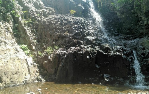 A serene waterfall cascading over rocky terrain into a clear pool, surrounded by lush greenery.