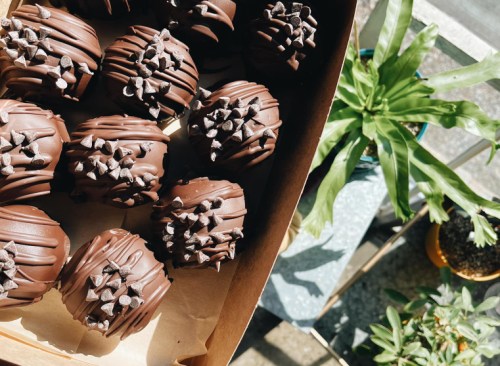 A box of chocolate-covered treats topped with chocolate chips, surrounded by greenery.